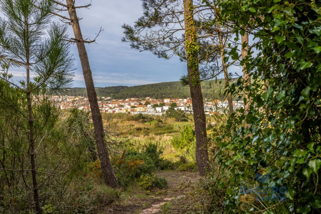 Moradia T1 para Venda em Foz do Arelho Foto 23