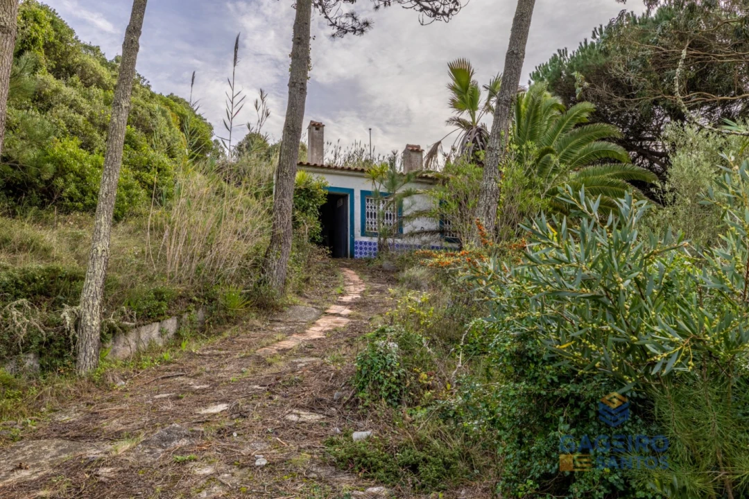 Moradia T1 para Venda em Foz do Arelho Foto 26