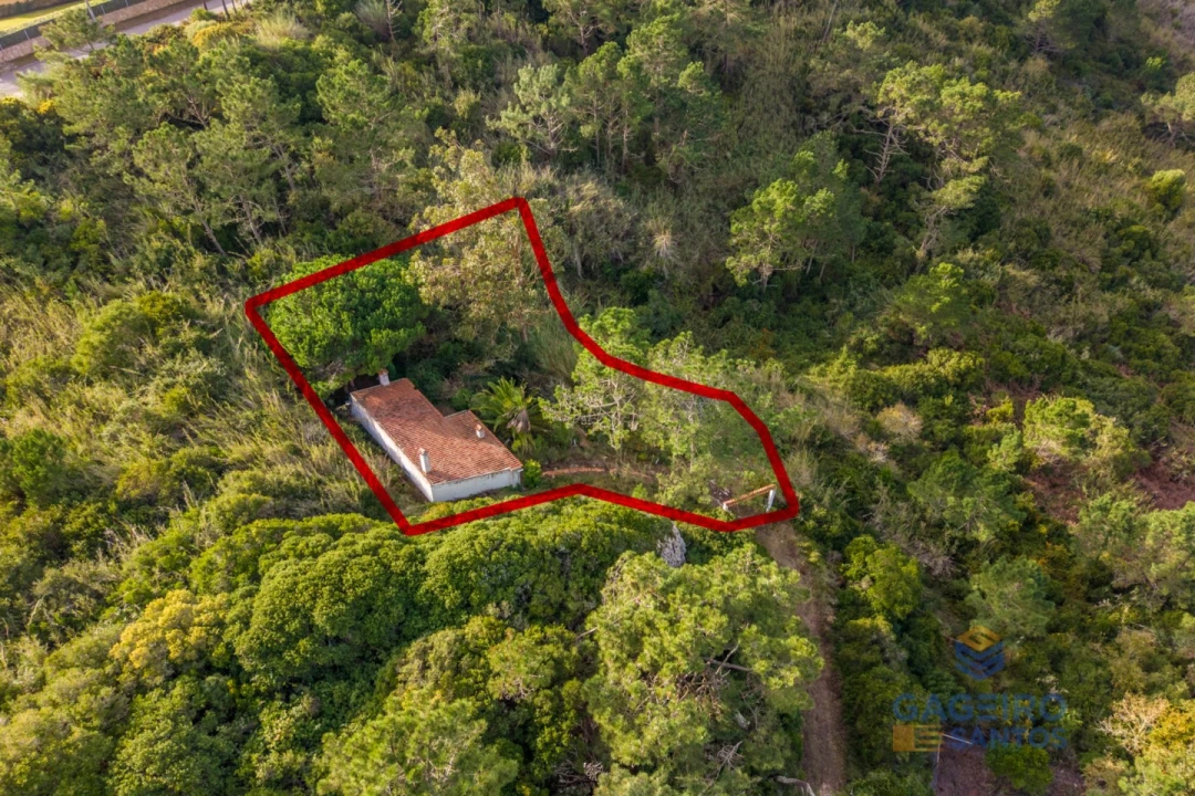 Moradia T1 para Venda em Foz do Arelho Foto 33