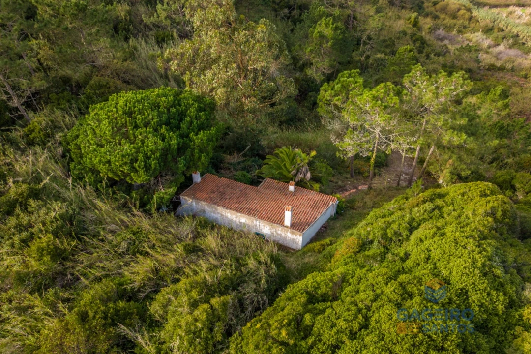 Moradia T1 para Venda em Foz do Arelho Foto 30