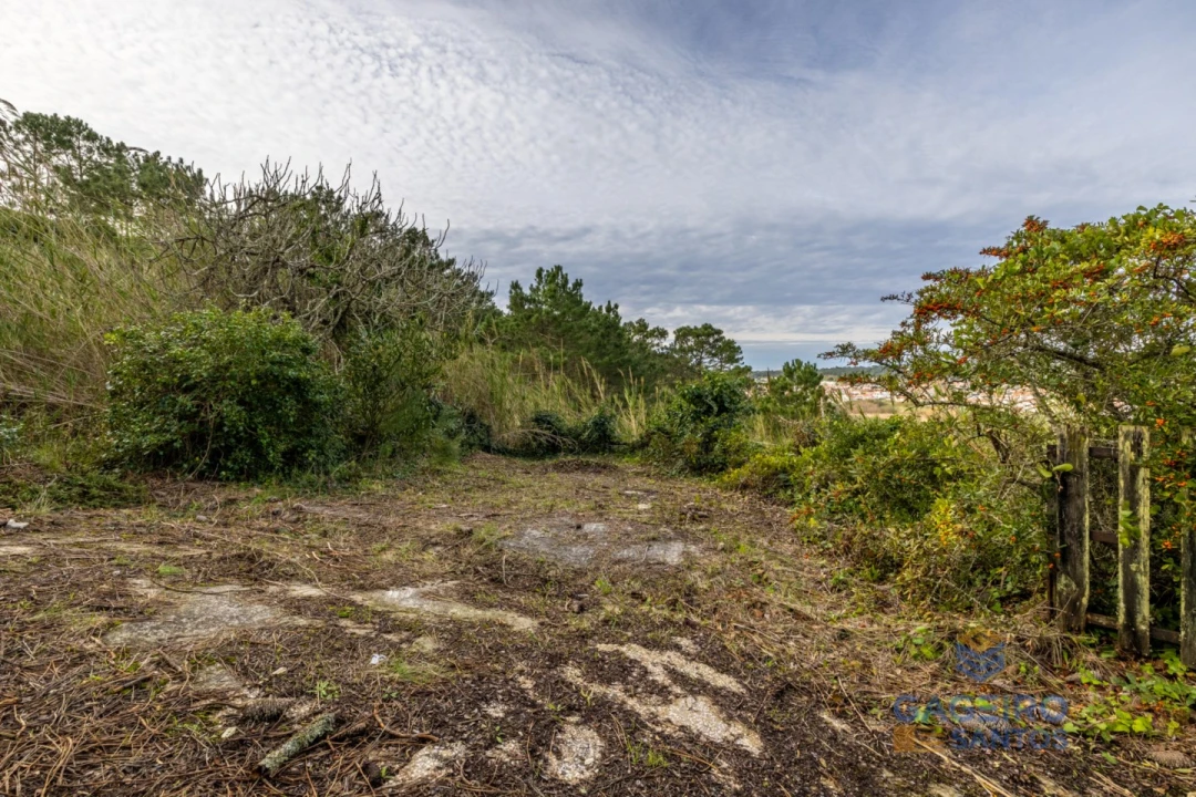 Moradia T1 para Venda em Foz do Arelho Foto 31