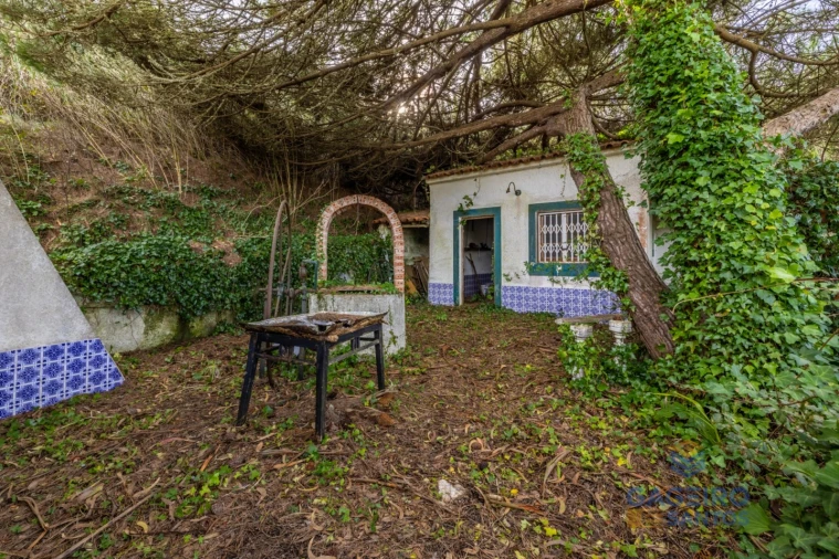 Moradia T1 para Venda em Foz do Arelho Foto 16