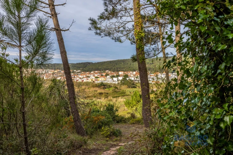 Moradia T1 para Venda em Foz do Arelho Foto 23