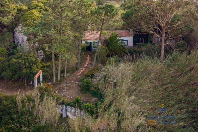 Moradia T1 para Venda em Foz do Arelho Foto 29