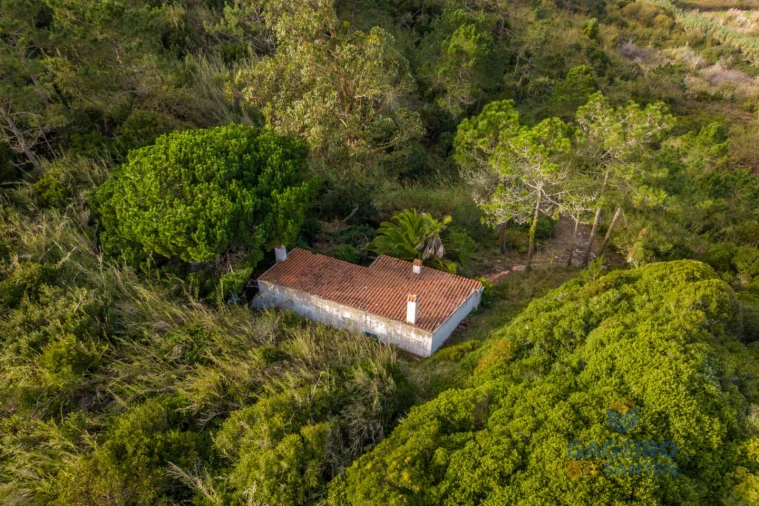 Moradia T1 para Venda em Foz do Arelho Foto 30