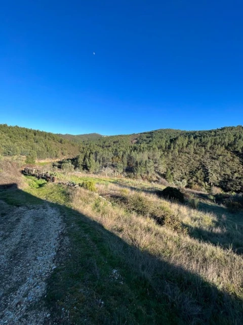 Moradia T2 para Venda em Unhais-O-Velho