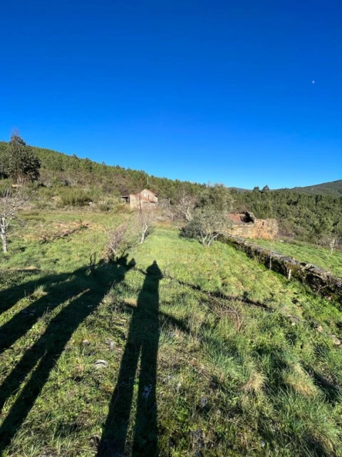 Moradia T2 para Venda em Unhais-O-Velho