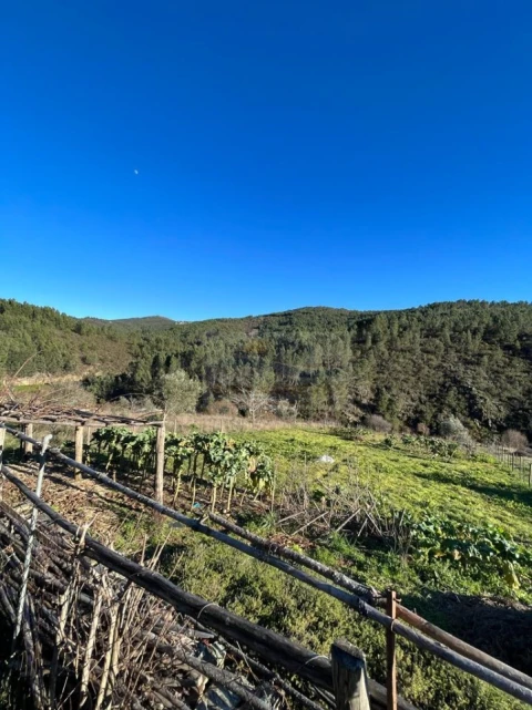 Moradia T2 para Venda em Unhais-O-Velho