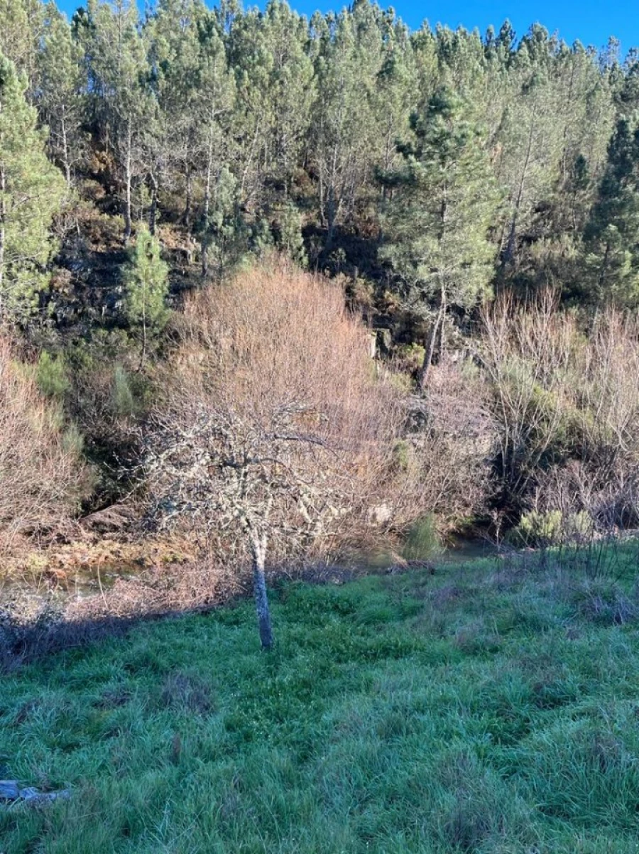 Moradia T2 para Venda em Unhais-O-Velho Foto 18