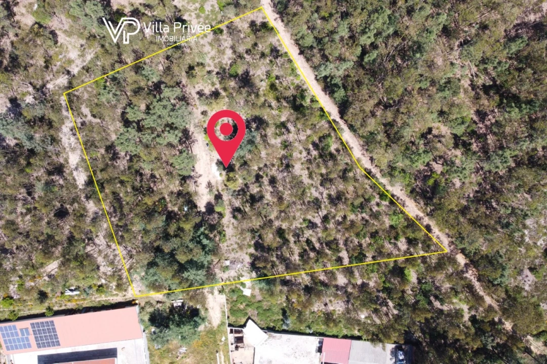 Terreno para Venda em Assafarge e Antanhol Foto 12