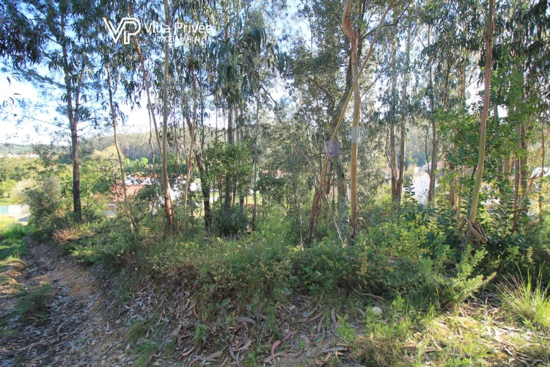 Terreno para Venda em Assafarge e Antanhol Foto 16