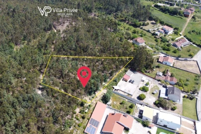 Terreno para Venda em Assafarge e Antanhol