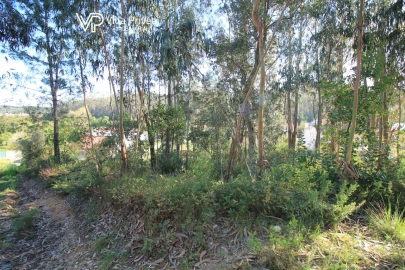 Terreno para Venda em Assafarge e Antanhol