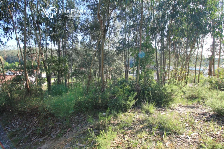 Terreno para Venda em Assafarge e Antanhol Foto 15