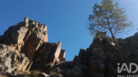 Moradia para Venda em Penha Garcia