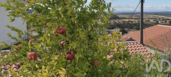 Moradia para Venda em Penha Garcia