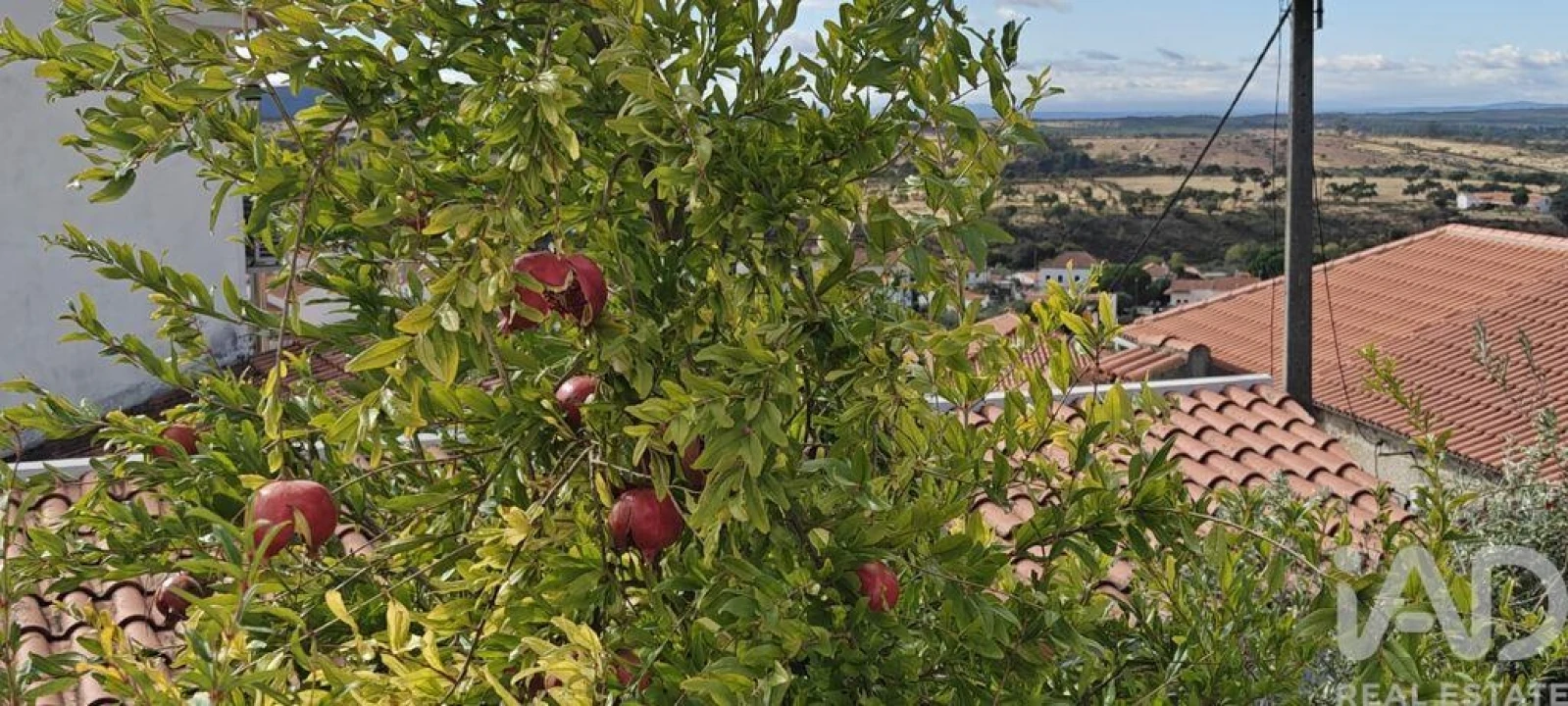 Moradia para Venda em Penha Garcia Foto 6