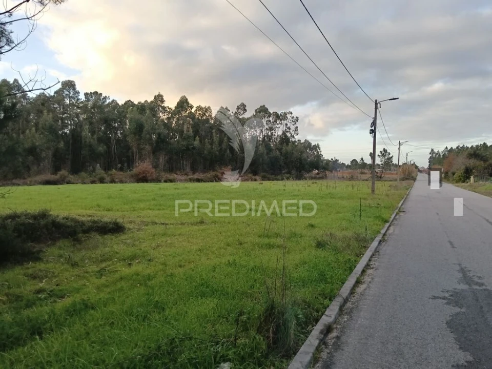 Terreno para Venda em Ponte de Vagos e Santa Catarina Foto 4
