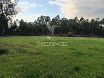 Terreno para Venda em Ponte de Vagos e Santa Catarina