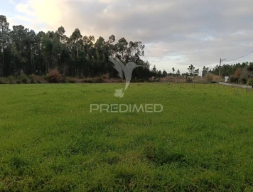 Terreno para Venda em Ponte de Vagos e Santa Catarina