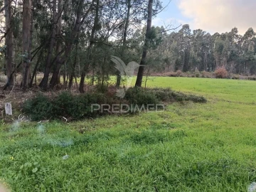 Terreno para Venda em Ponte de Vagos e Santa Catarina