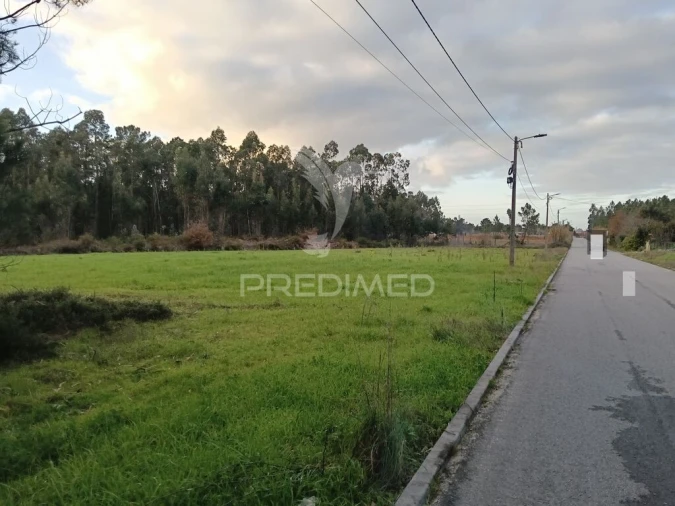 Terreno para Venda em Ponte de Vagos e Santa Catarina Foto 4