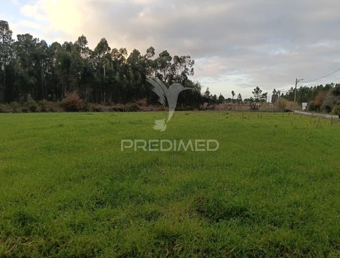 Terreno para Venda em Ponte de Vagos e Santa Catarina