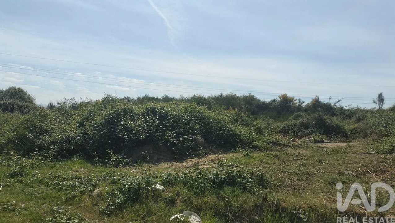 Terreno para Venda em Paredes Foto 24