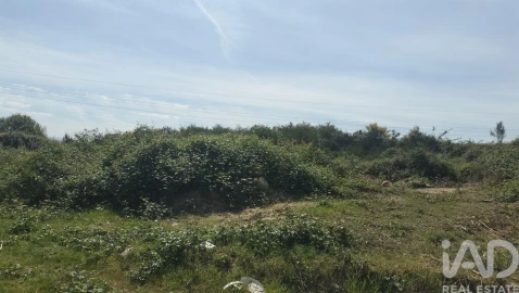 Terreno para Venda em Paredes