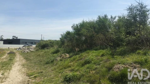 Terreno para Venda em Paredes