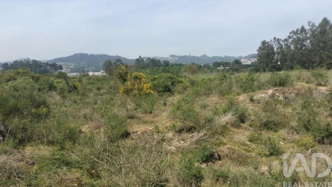 Terreno para Venda em Paredes