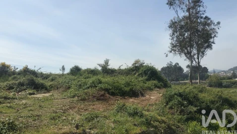 Terreno para Venda em Paredes