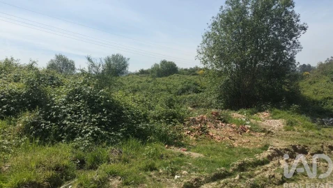 Terreno para Venda em Paredes