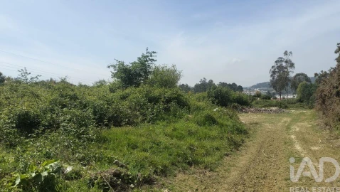 Terreno para Venda em Paredes