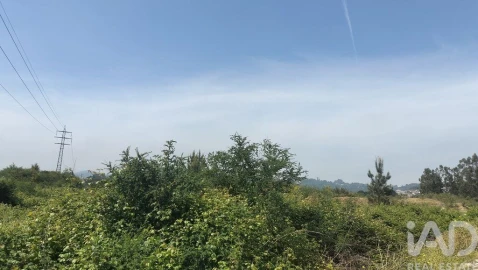 Terreno para Venda em Paredes