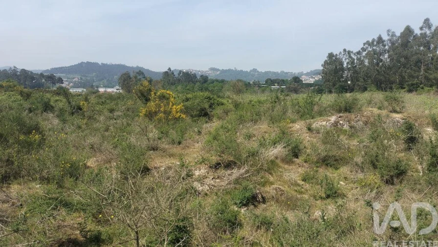 Terreno para Venda em Paredes Foto 3