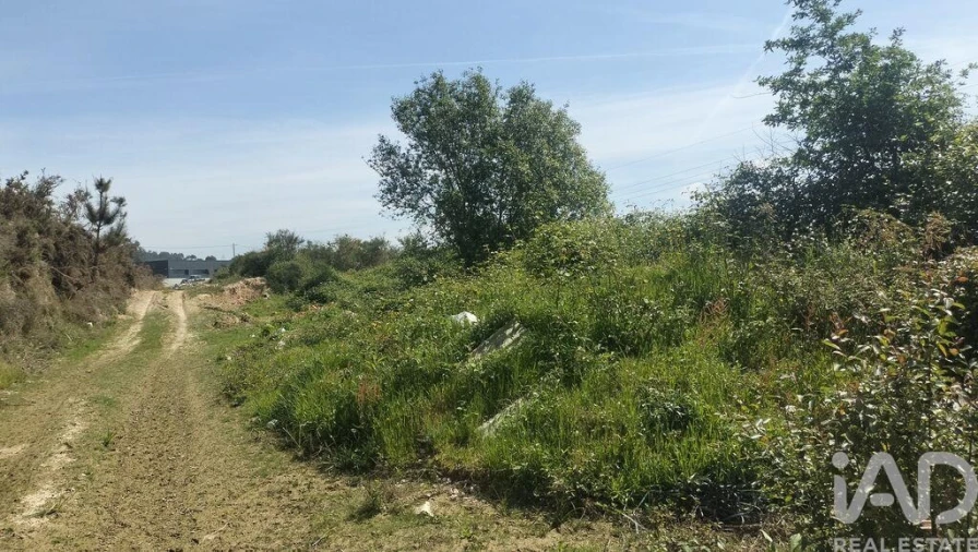 Terreno para Venda em Paredes Foto 26