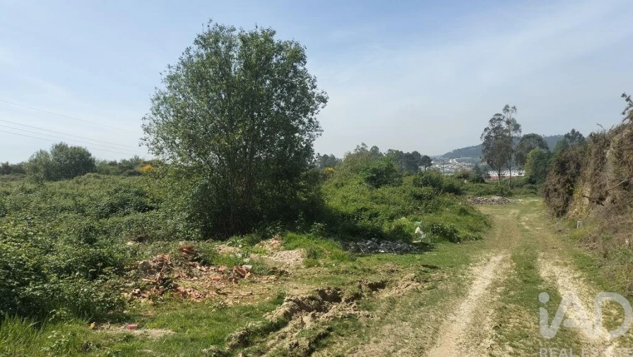 Terreno para Venda em Paredes Foto 18