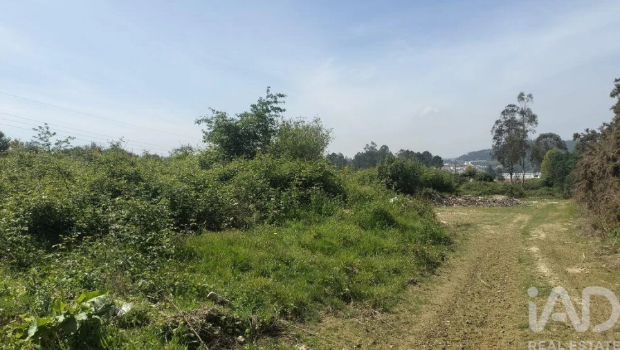 Terreno para Venda em Paredes Foto 19