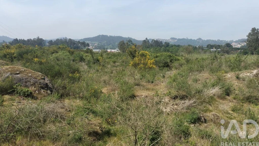 Terreno para Venda em Paredes Foto 4