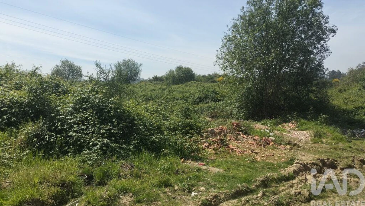 Terreno para Venda em Paredes Foto 20