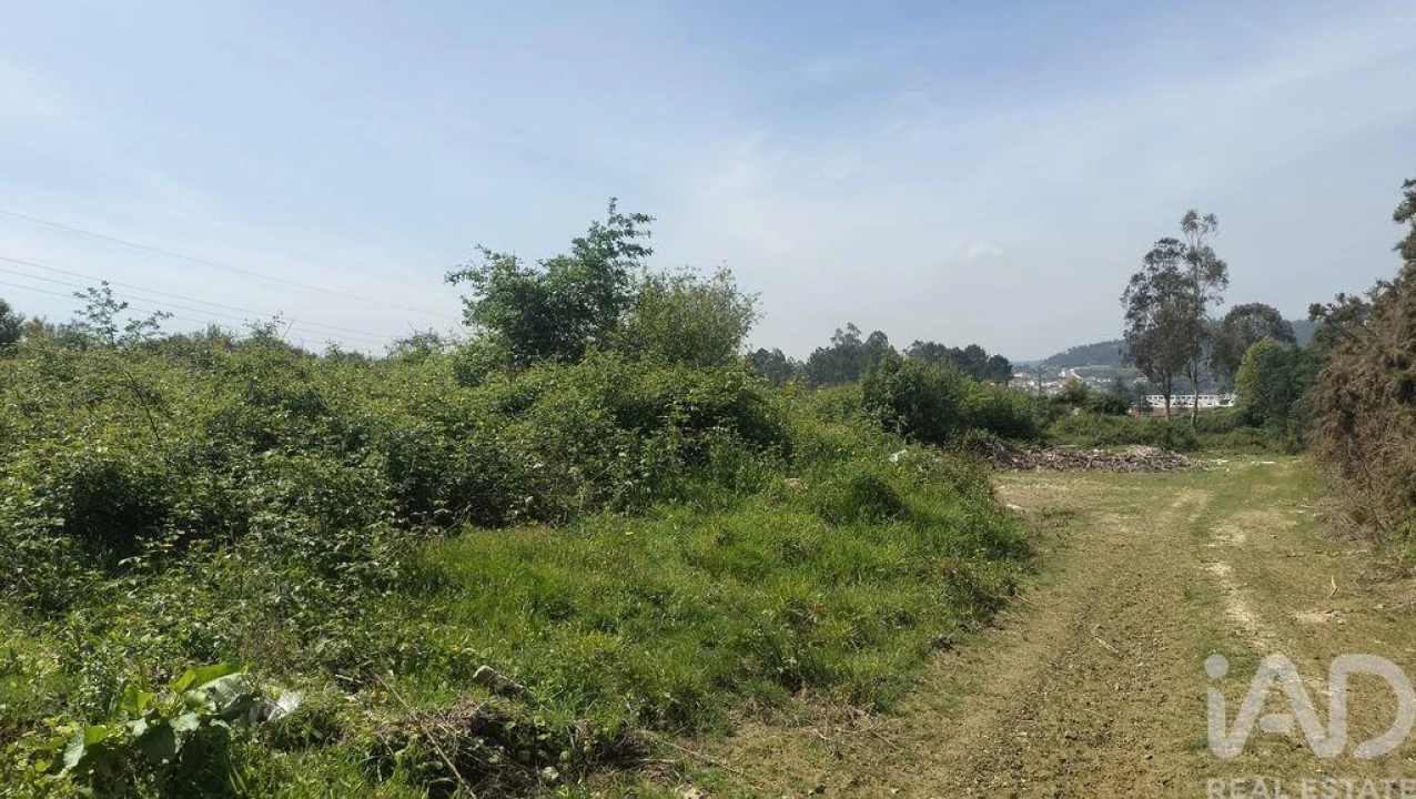 Terreno para Venda em Paredes Foto 19