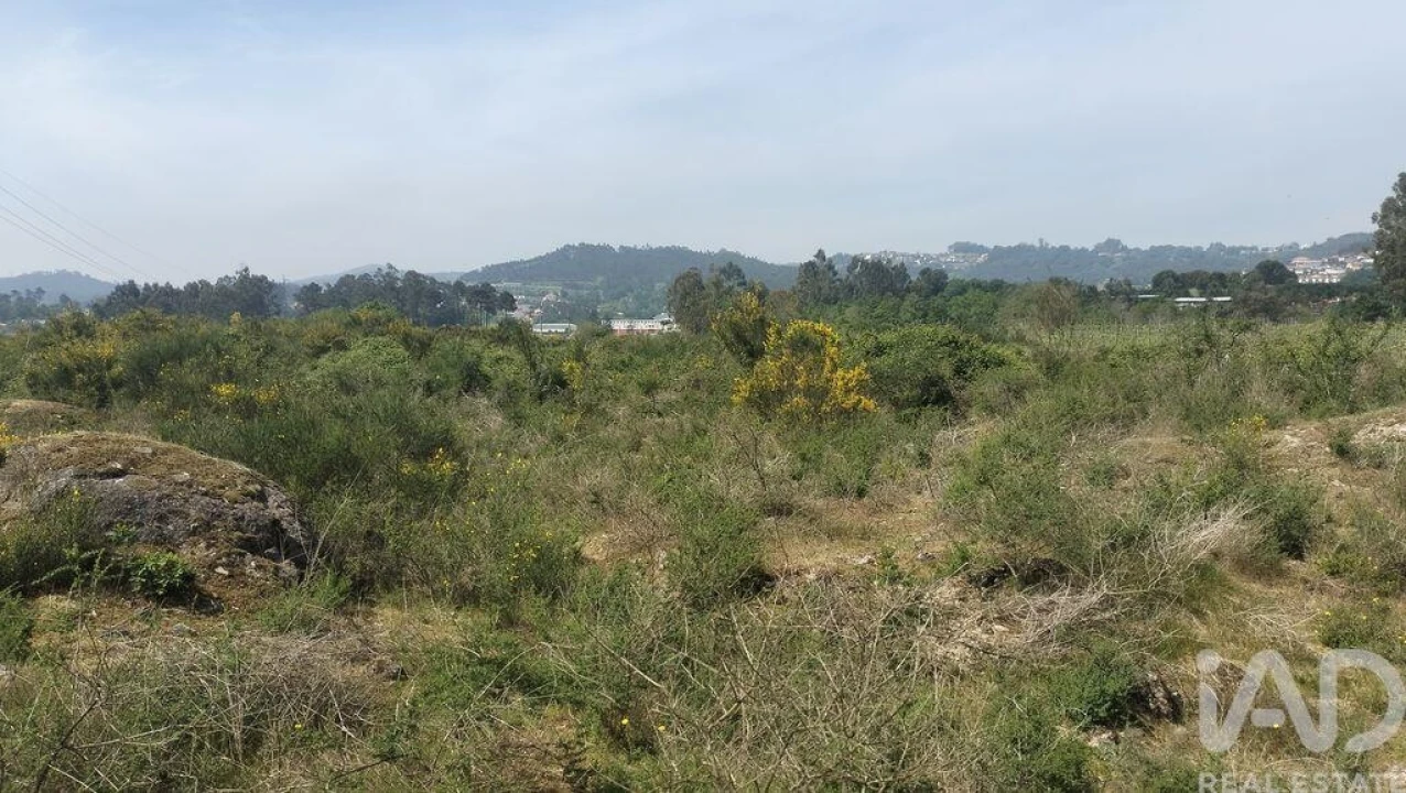 Terreno para Venda em Paredes Foto 9