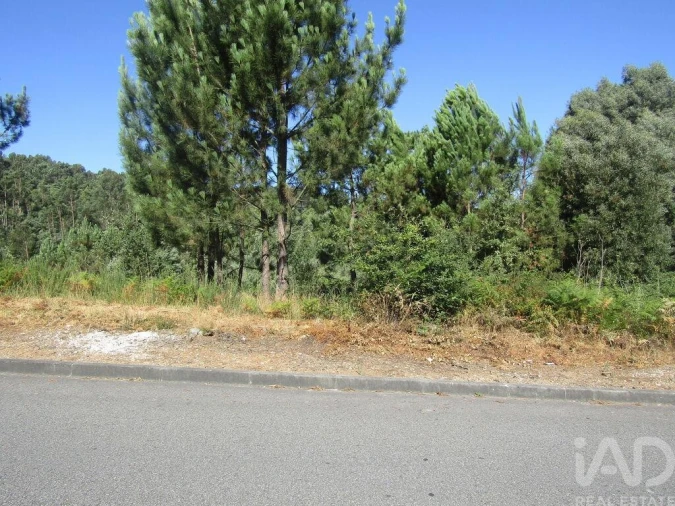 Terreno para Venda em Sandim, Olival, Lever e Crestuma Foto 13