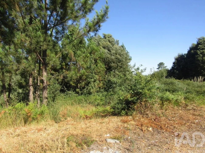 Terreno para Venda em Sandim, Olival, Lever e Crestuma Foto 3