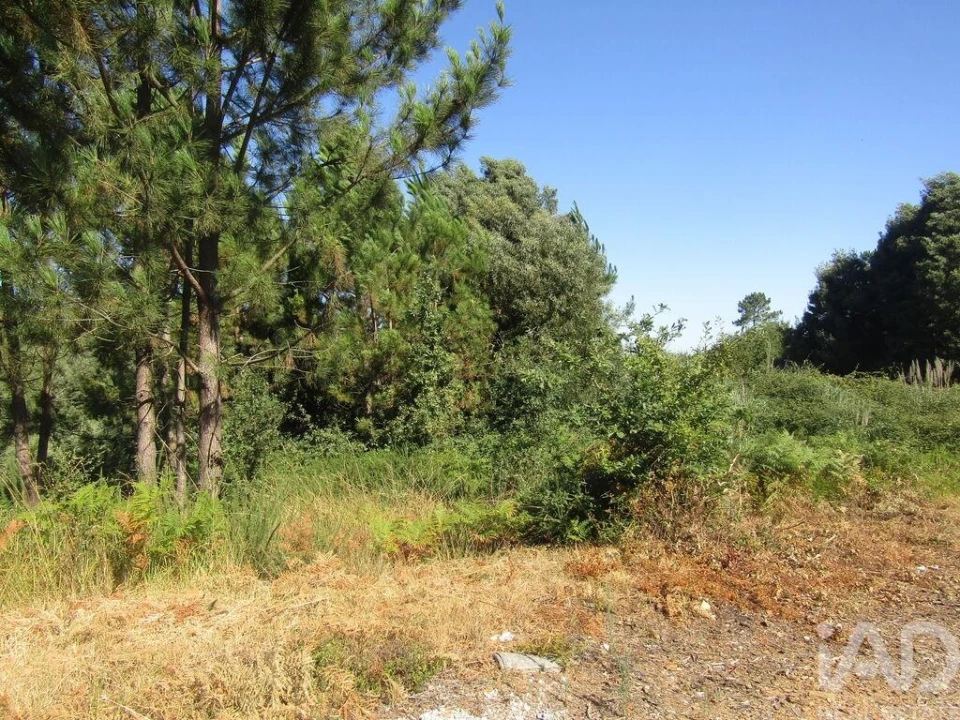 Terreno para Venda em Sandim, Olival, Lever e Crestuma Foto 6