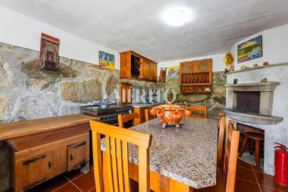 Quinta T5 para Venda em Cinfães