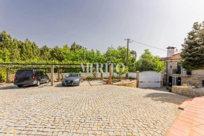 Quinta T5 para Venda em Cinfães