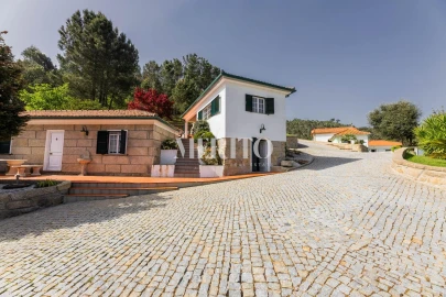 Quinta T5 para Venda em Cinfães