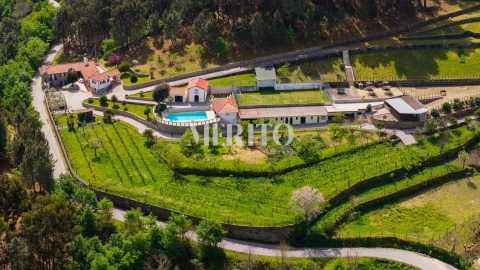 Quinta T5 para Venda em Cinfães